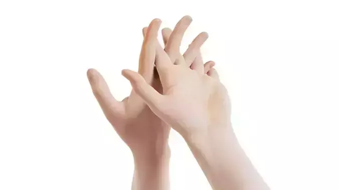Male Duo Hands 017 Low-poly 3D model