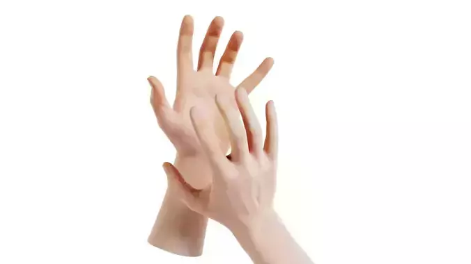 Male Duo Hands 018 Low-poly 3D model