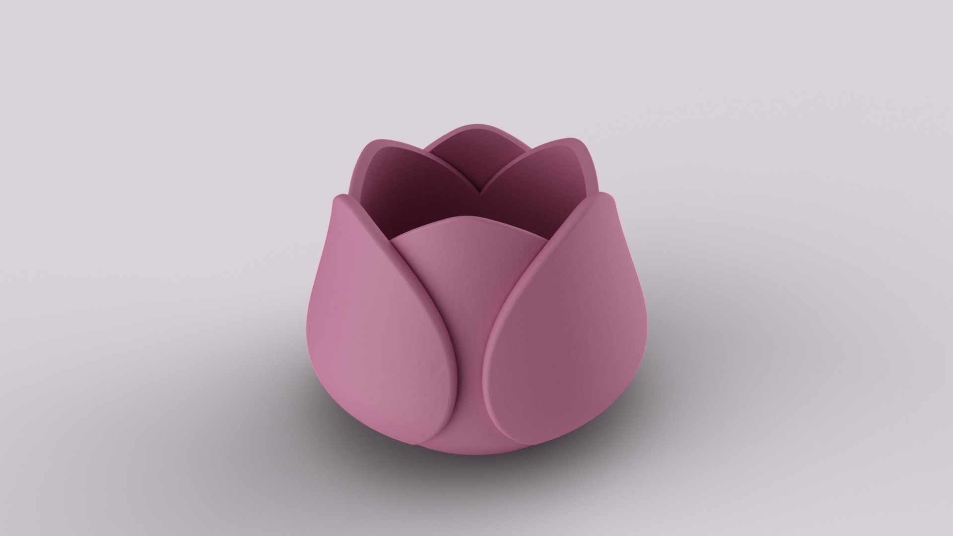 Decorative Tulip Succulent 3D print model_4