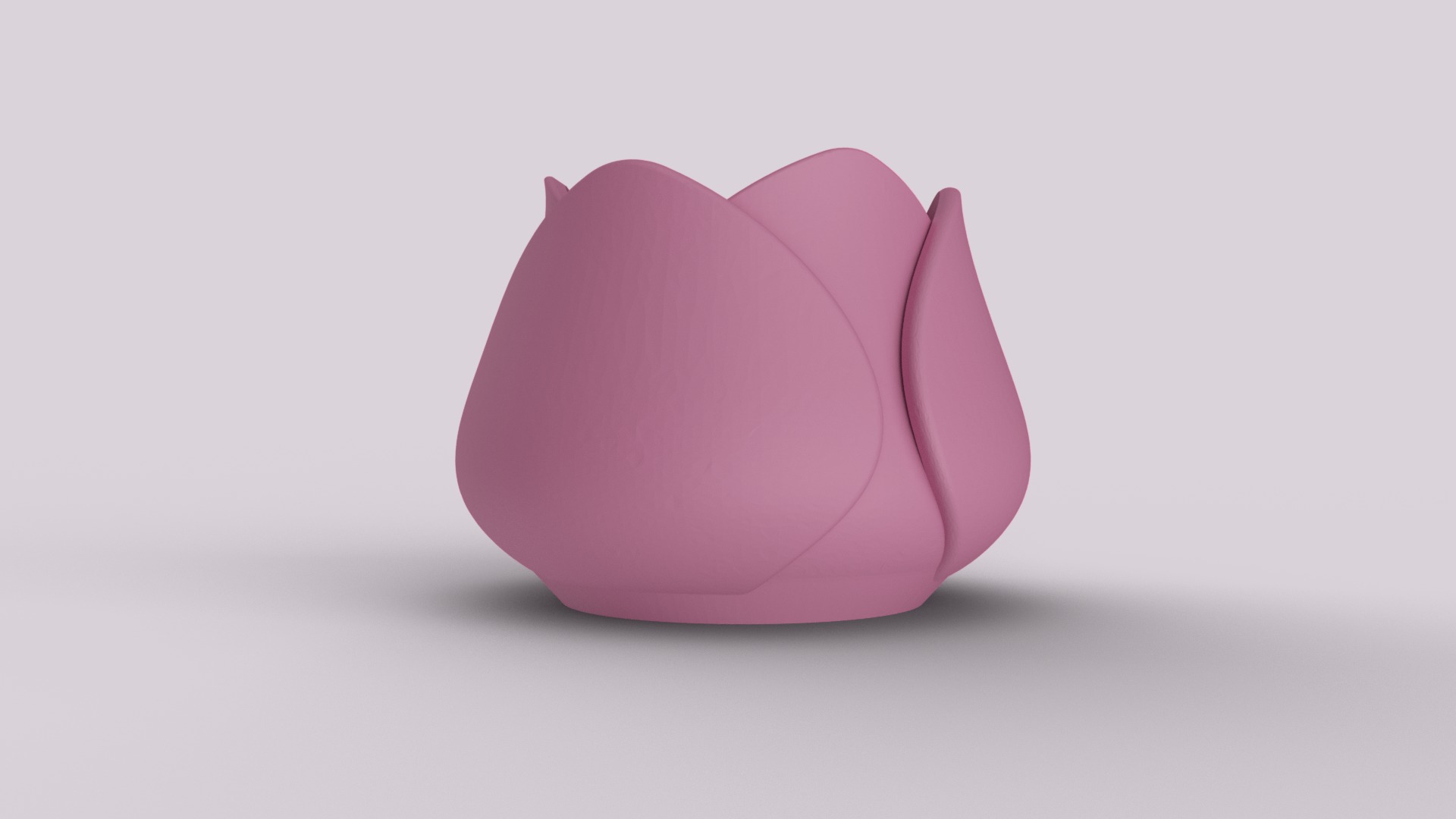 Decorative Tulip Succulent 3D print model_2