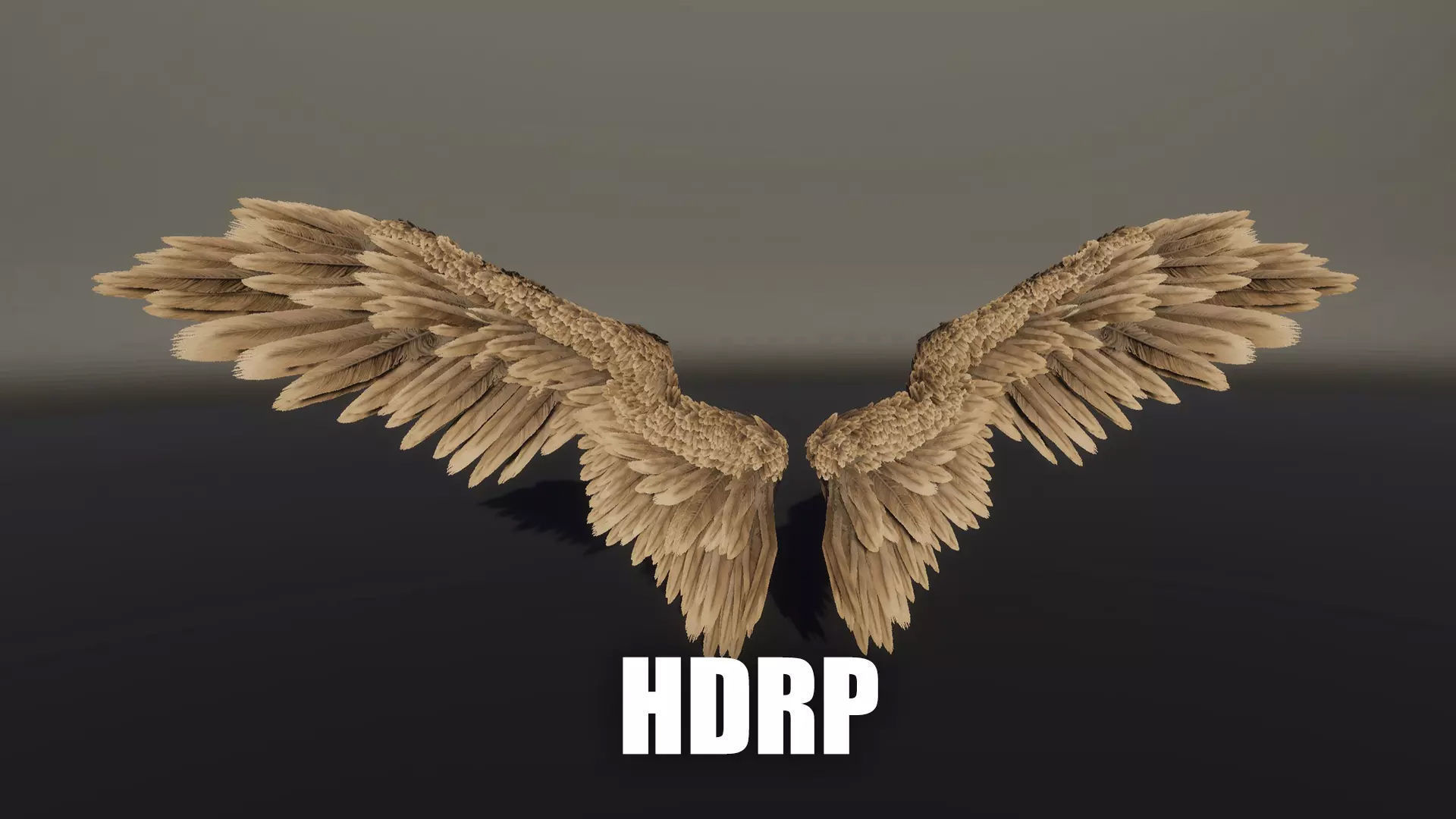 Angel Wings Low-poly 3D model_15