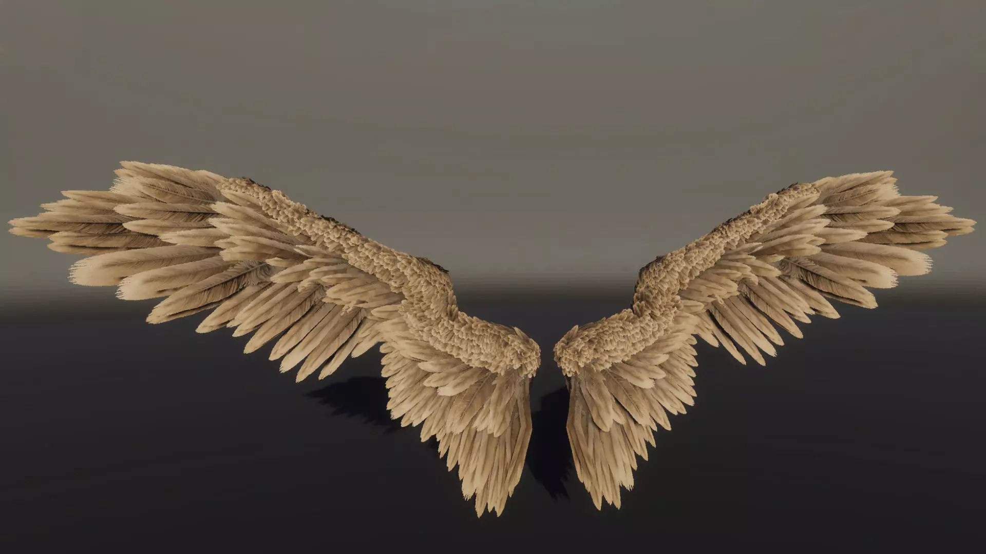 Angel Wings Low-poly 3D model_18
