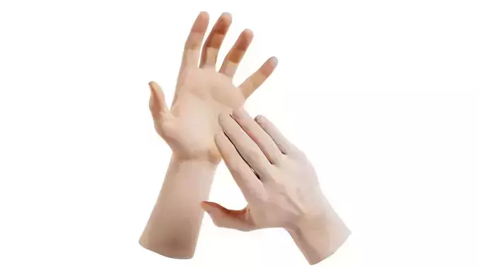Male Duo Hands 021 Low-poly 3D model