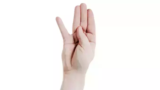 Male Hand Finger Alphabet B Low-poly 3D model