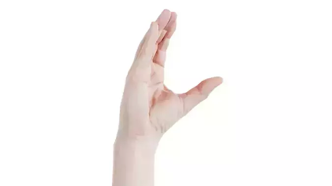 Male Hand Finger Alphabet C Low-poly 3D model