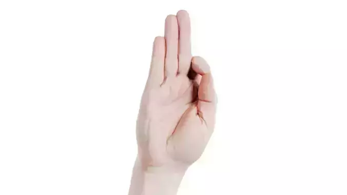 Male Hand Finger Alphabet F