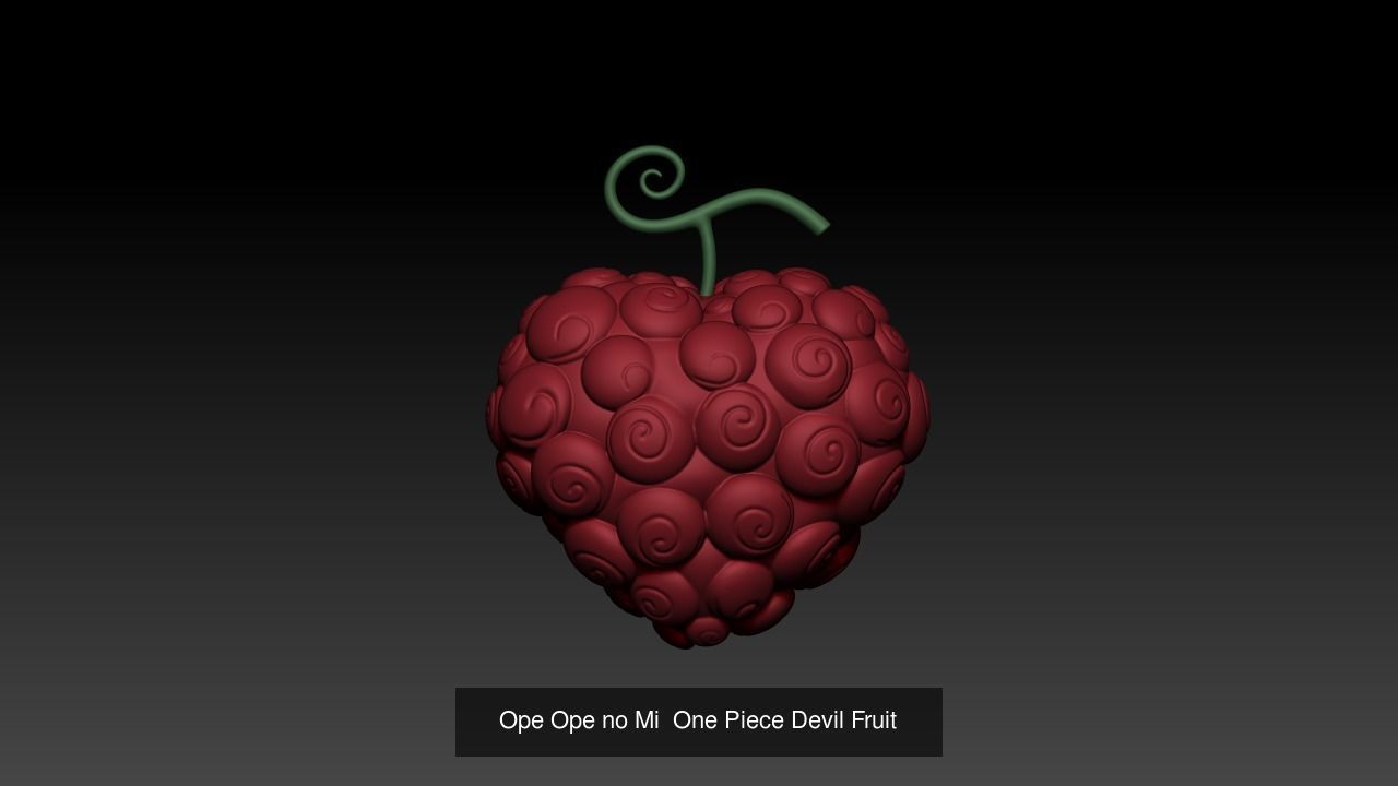 Devil Fruits 3D Model Collection_4
