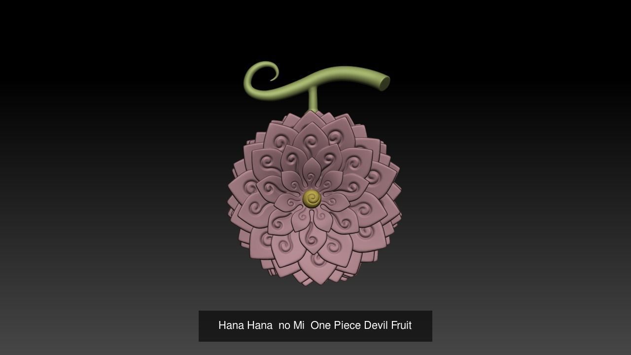 Devil Fruits 3D Model Collection_5