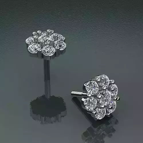Earrings puset N012654
