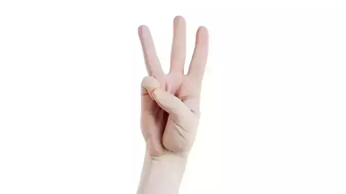 Male Hand Finger Alphabet W Low-poly 3D model