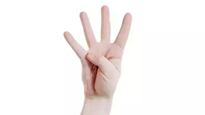 Male Hand Finger Number 4