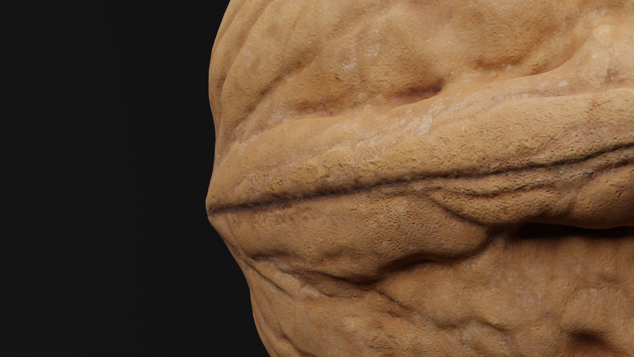 Walnut 3D model_3