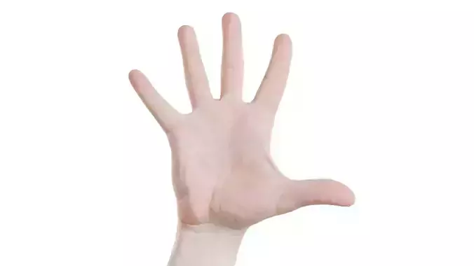 Male Hand Finger Number 5 Low-poly 3D model