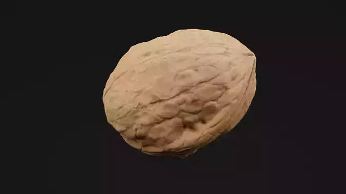 Walnut
