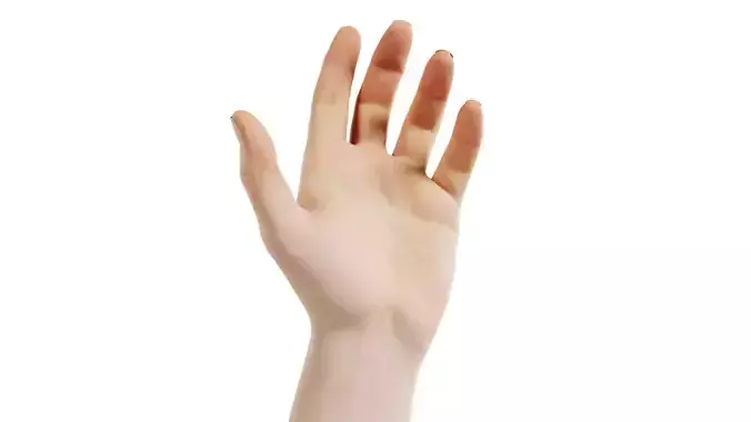 Male Single Hand 001