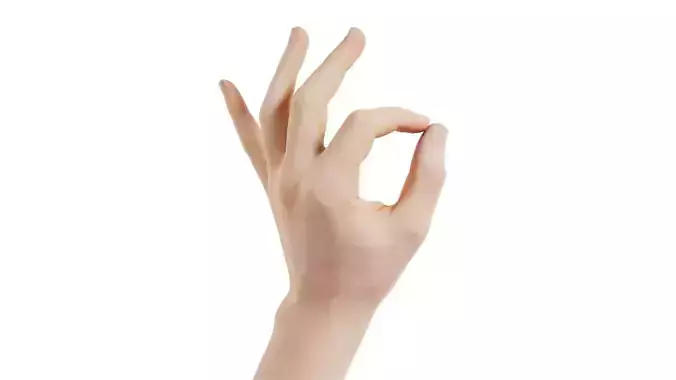 Male Single Hand 003