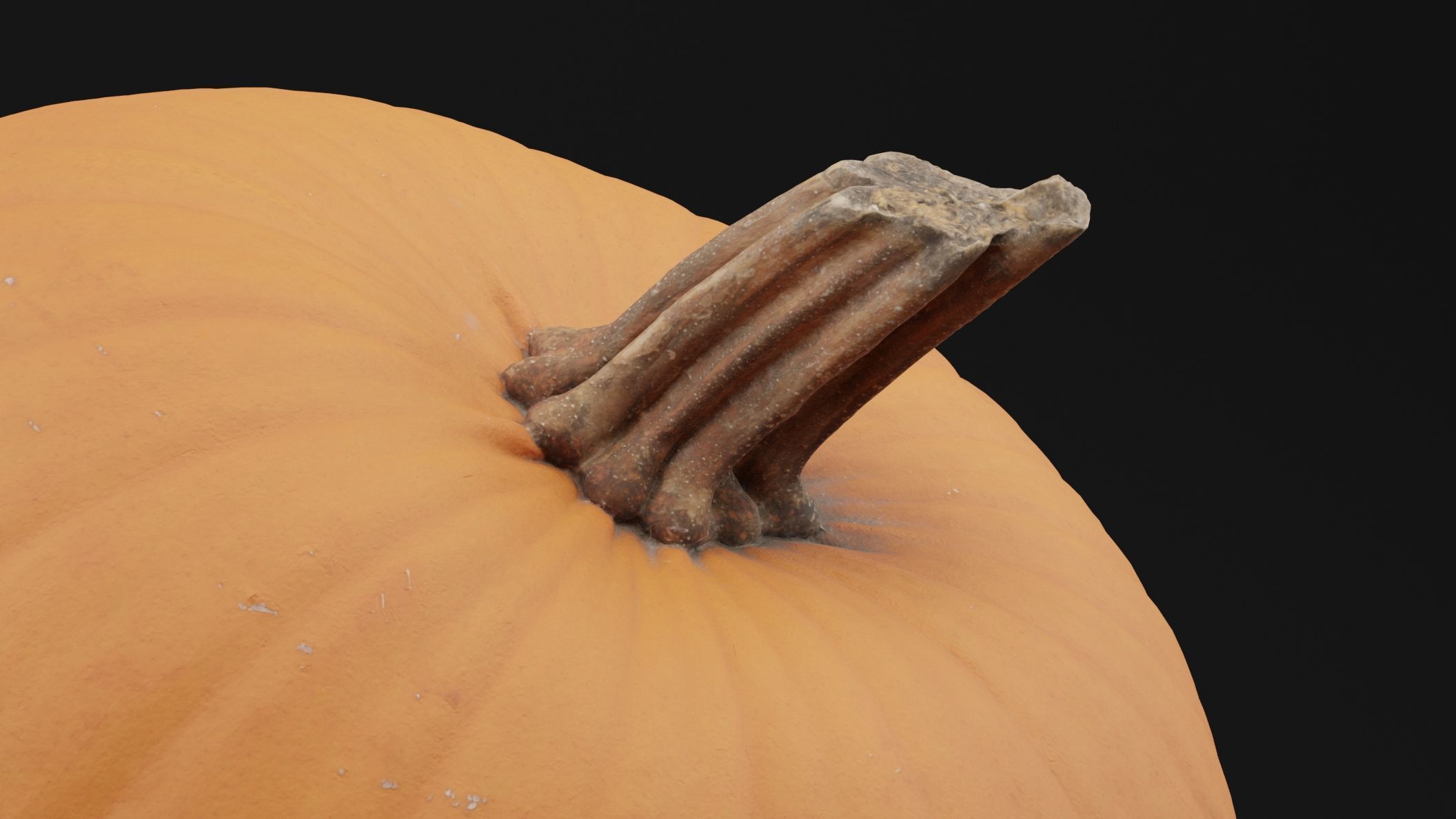 Pumpkin  3D model_1