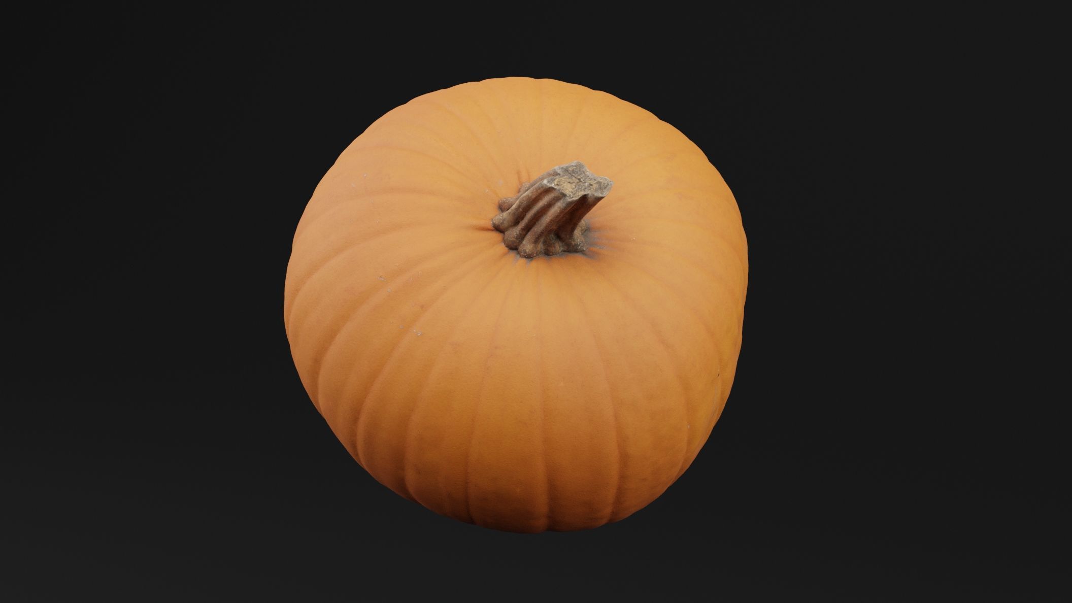 Pumpkin  3D model_4
