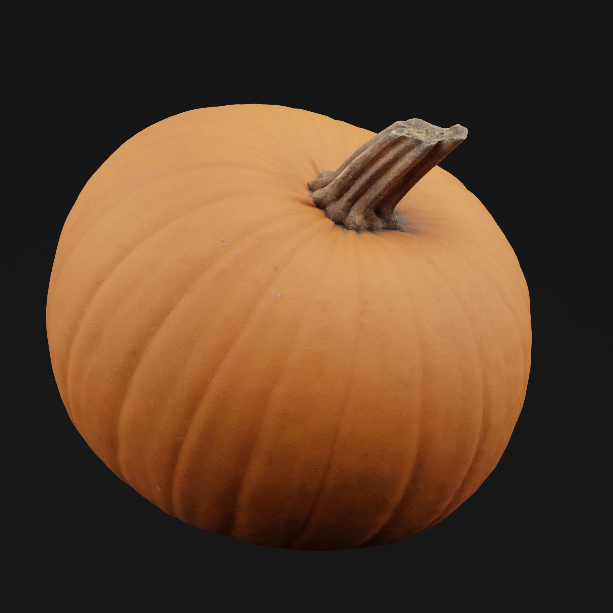 Pumpkin  3D model_5