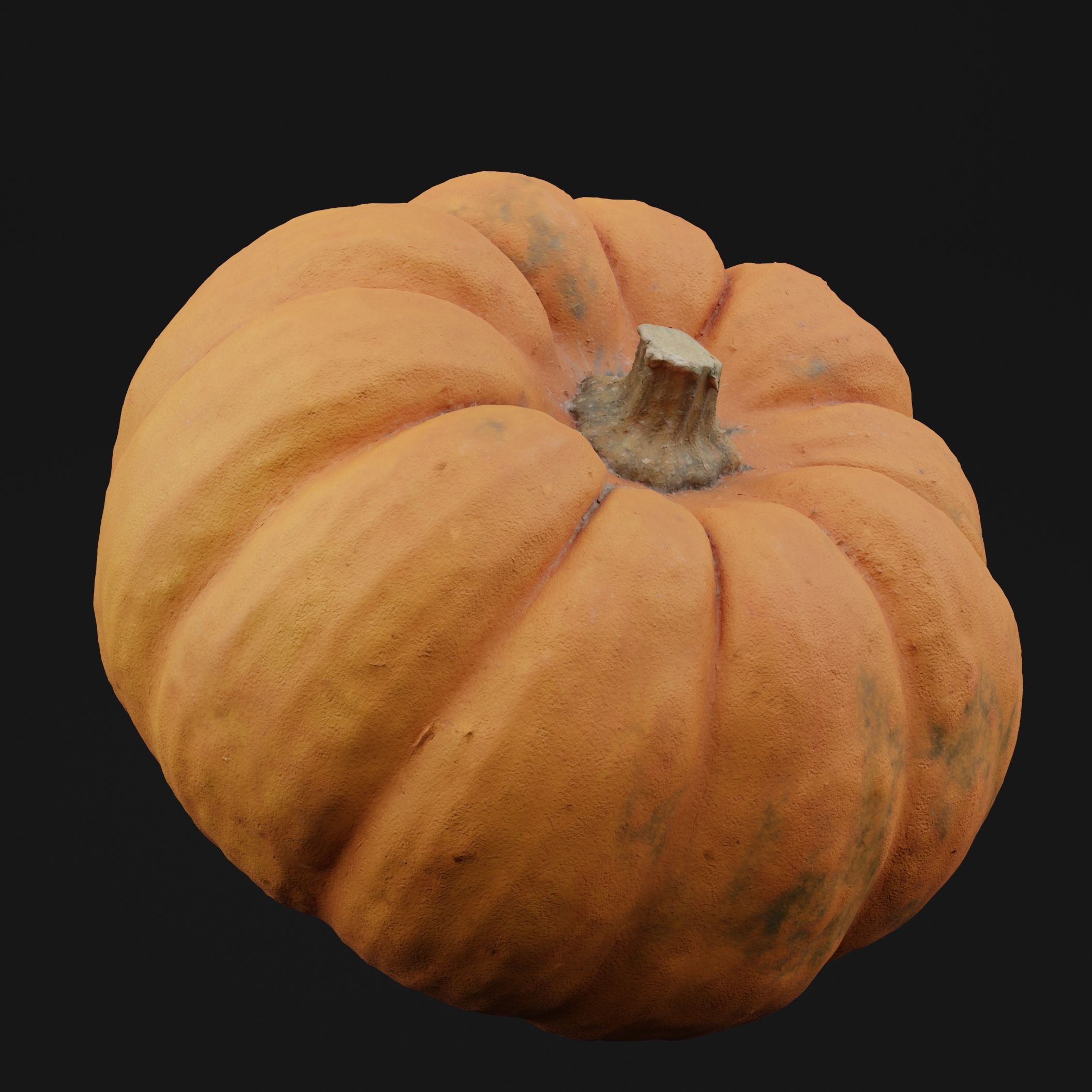 Pumpkin 3D model_5