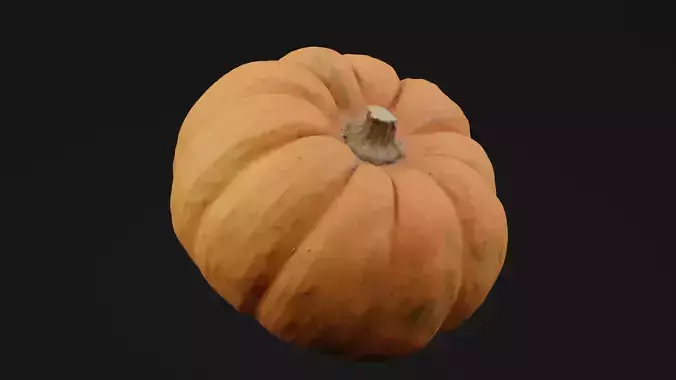 Pumpkin 
