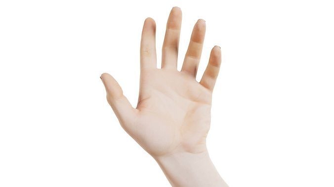 Male Single Hand 008 Low-poly 3D model