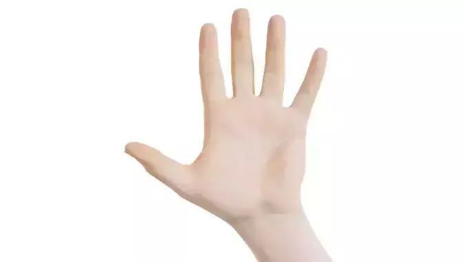 Male Single Hand 009