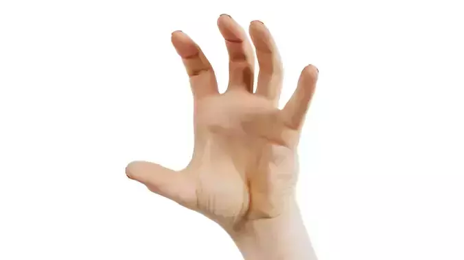 Male Single Hand 011 Low-poly 3D model