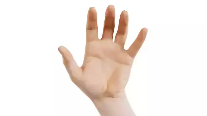 Male Single Hand 015