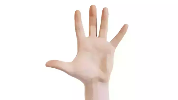 Male Single Hand 017