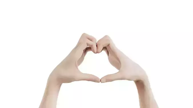 Duo Hands 001 Low-poly 3D model