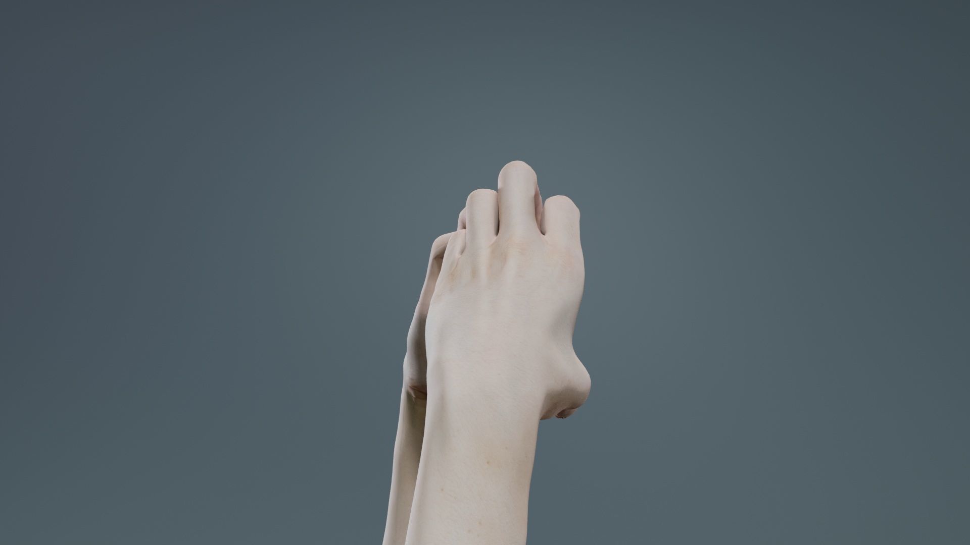 Duo Hands 001 Low-poly 3D model_1