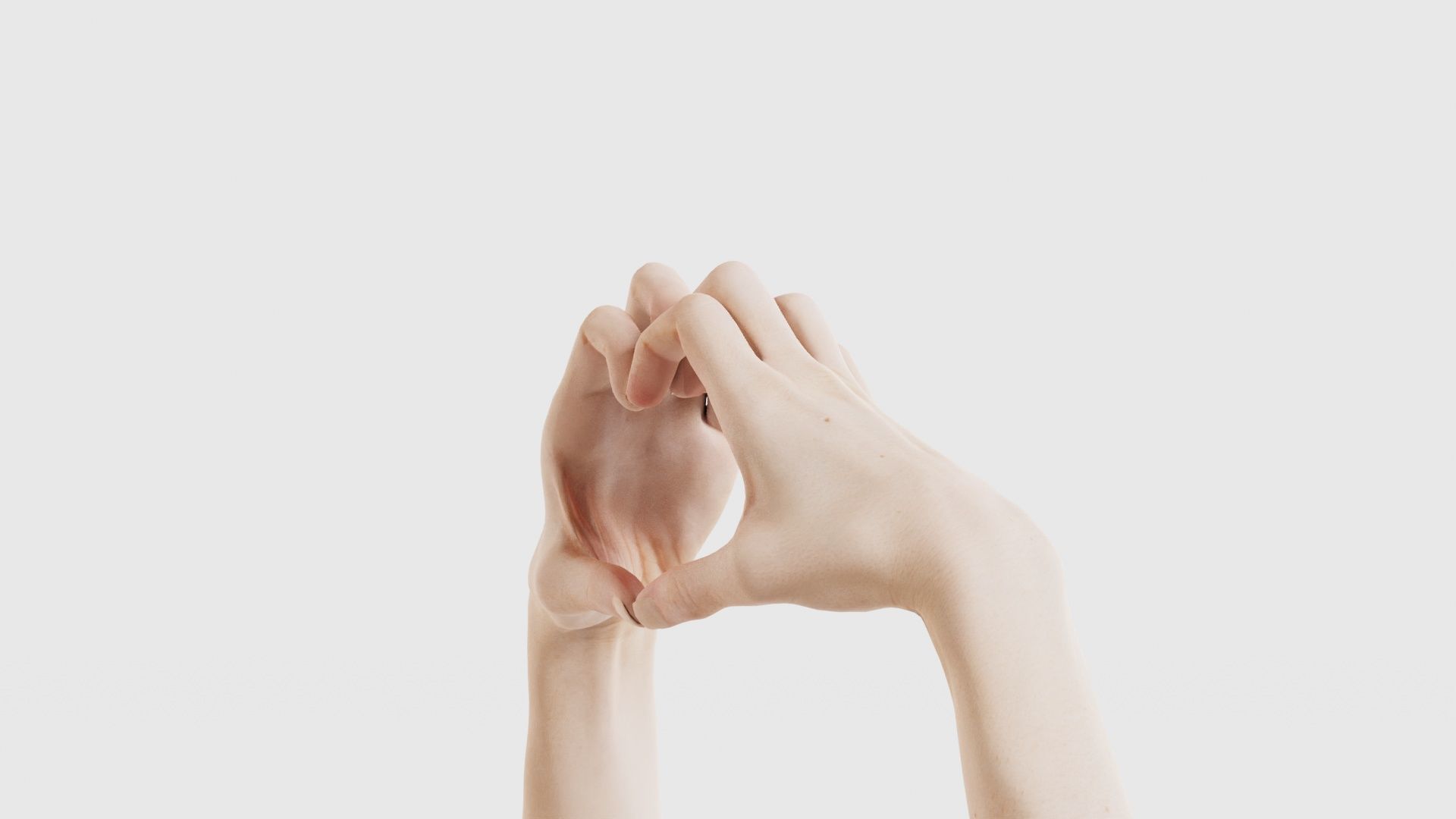 Duo Hands 001 Low-poly 3D model_25