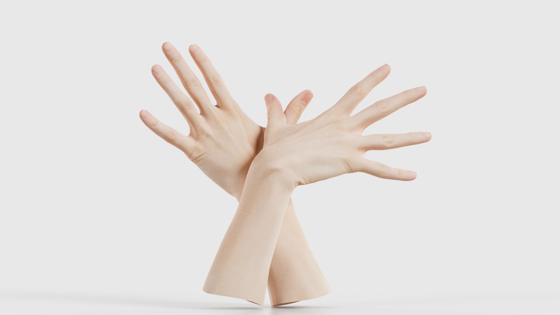 Duo Hands 002 Low-poly 3D model_21