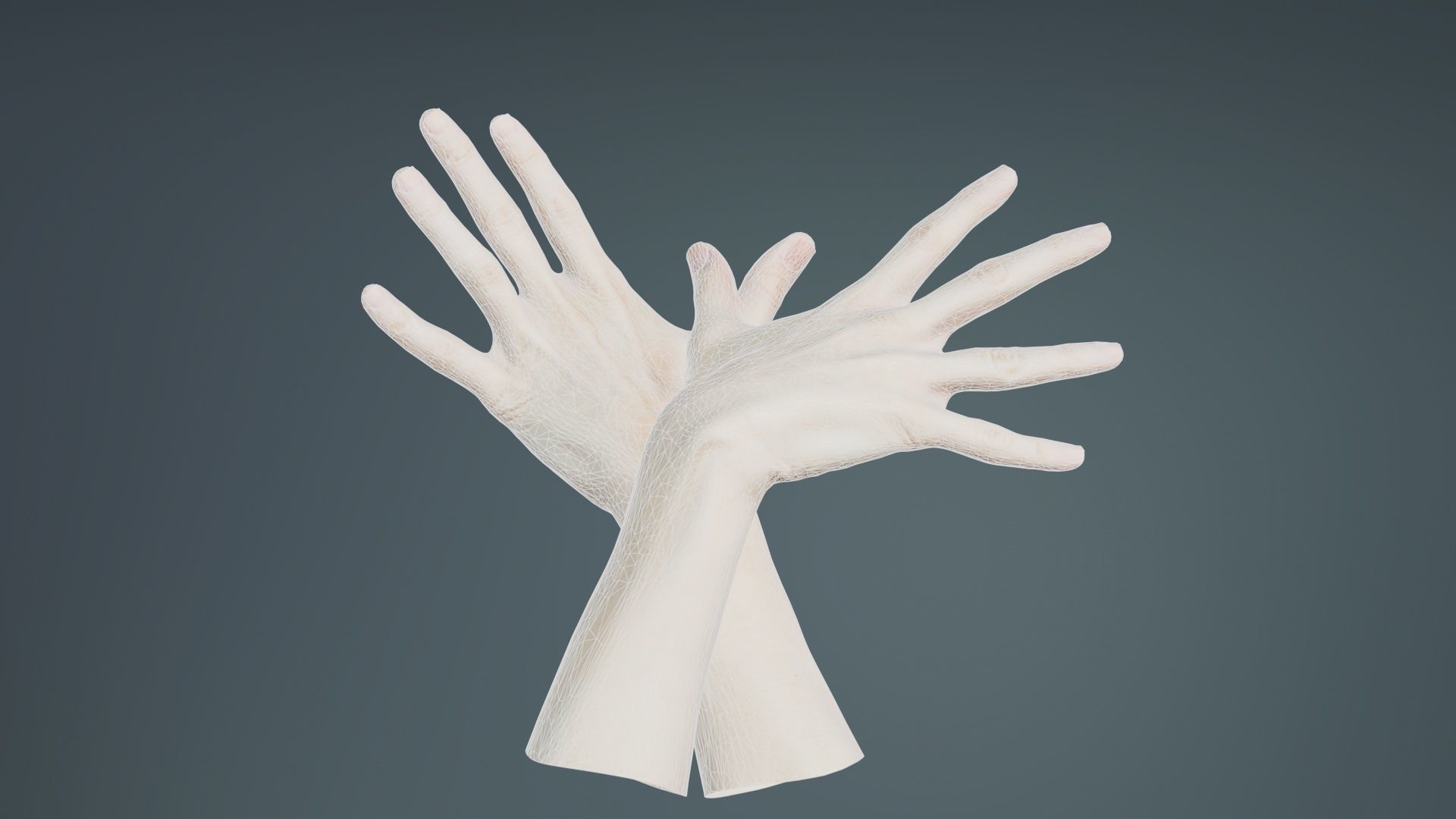 Duo Hands 002 Low-poly 3D model_10