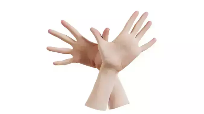 Duo Hands 002 Low-poly 3D model