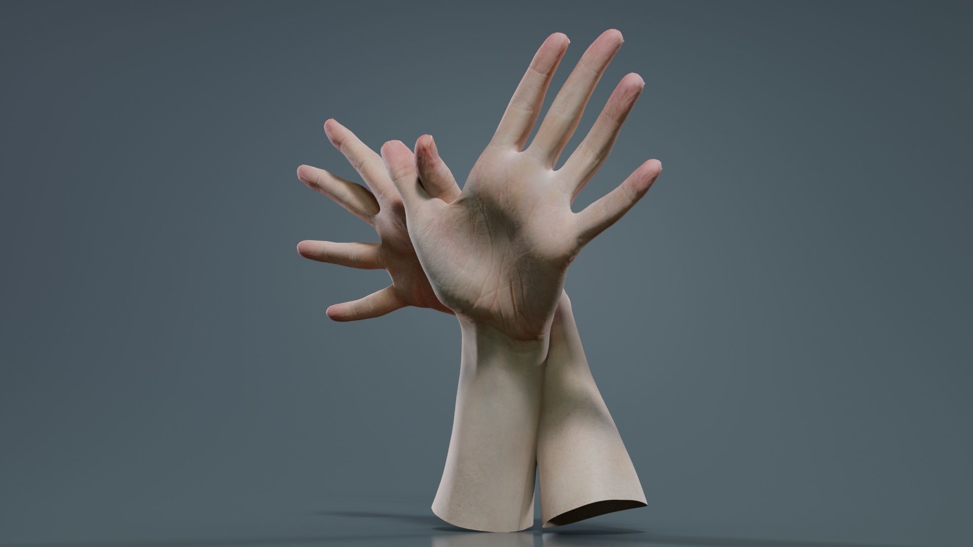 Duo Hands 002 Low-poly 3D model_8