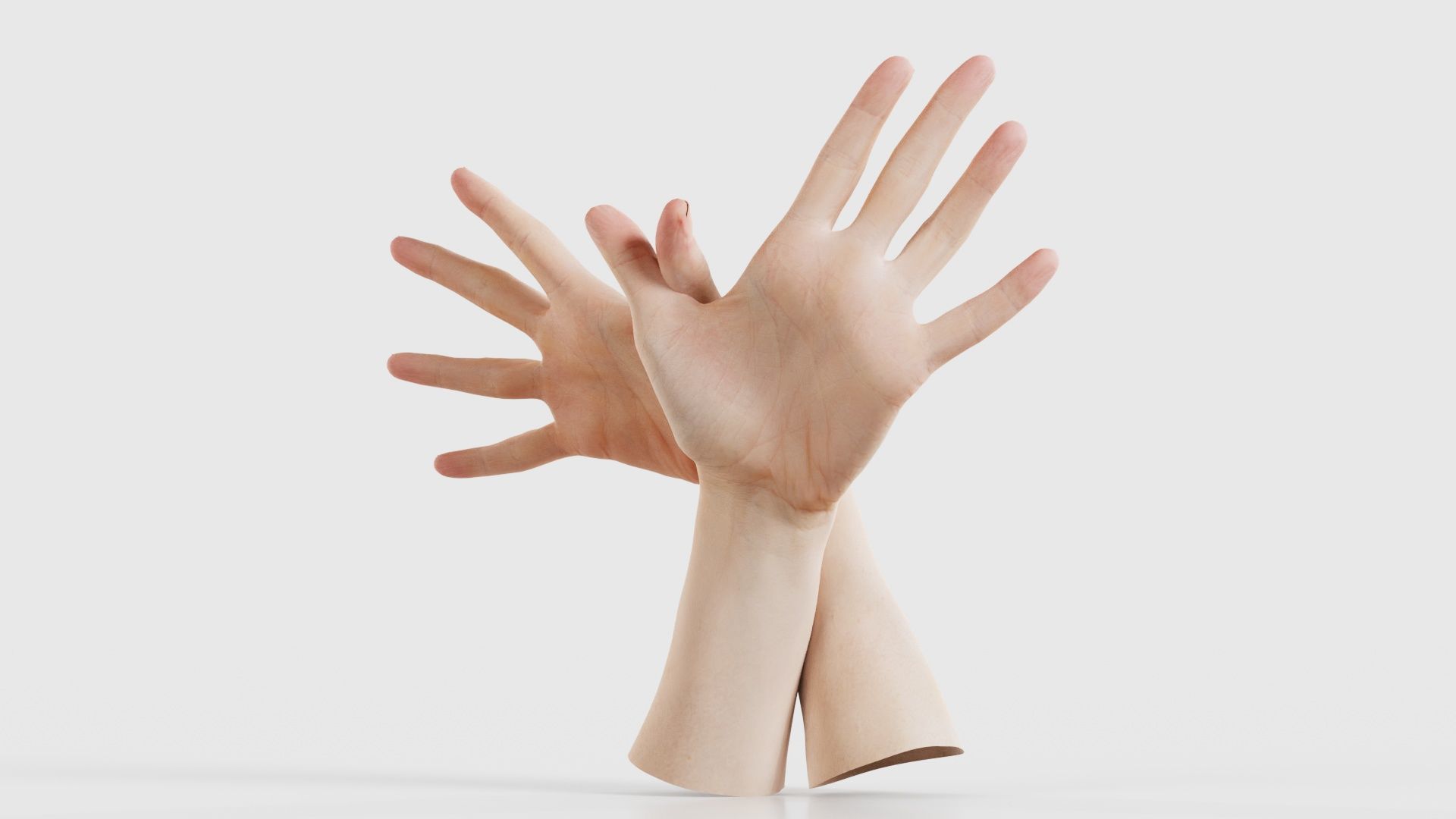 Duo Hands 002 Low-poly 3D model_26