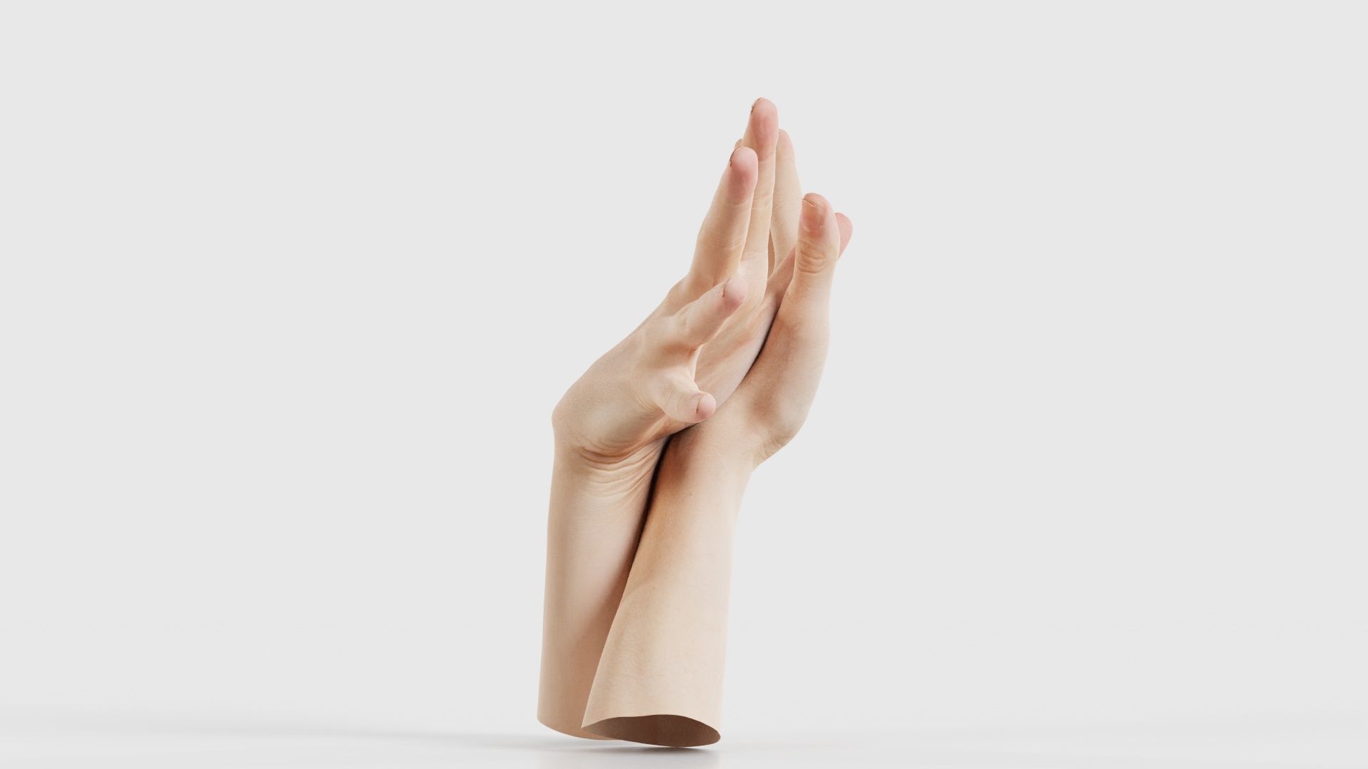 Duo Hands 002 Low-poly 3D model_18