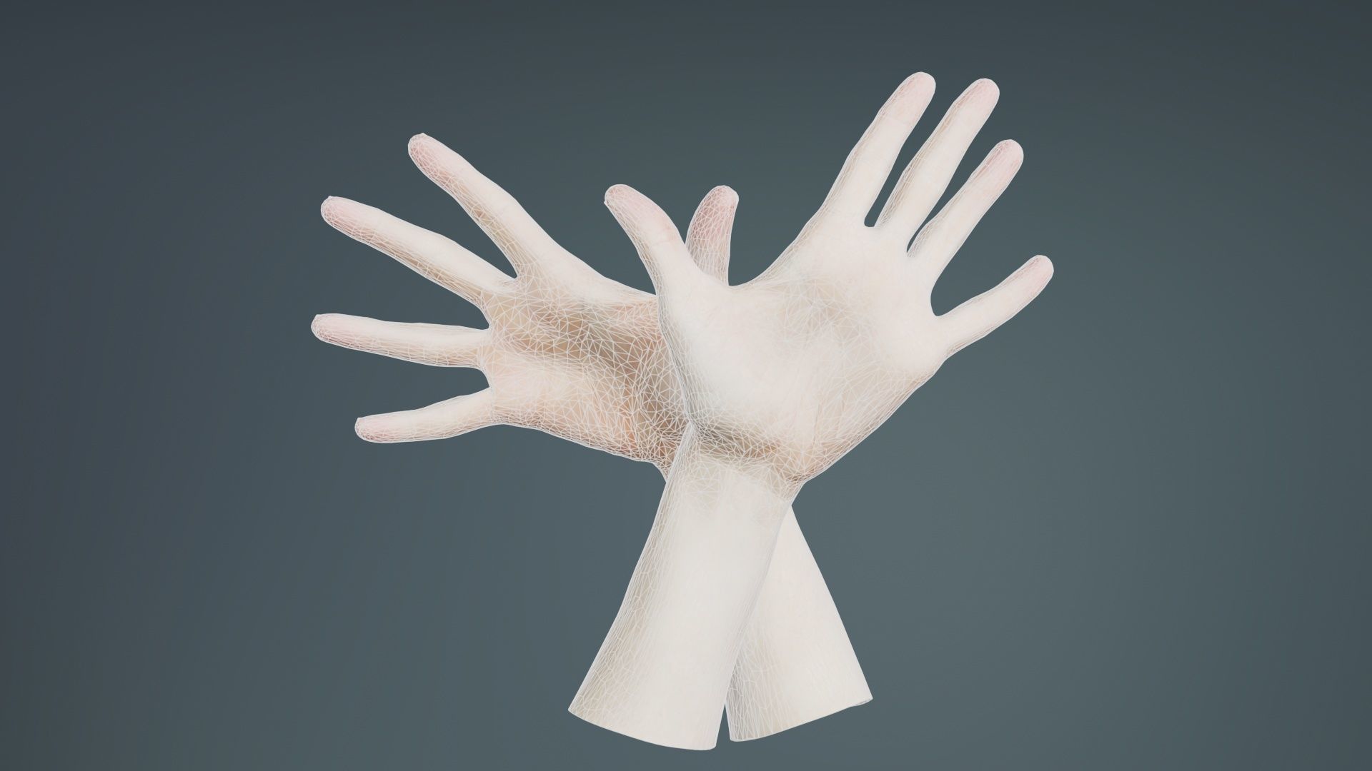 Duo Hands 002 Low-poly 3D model_9