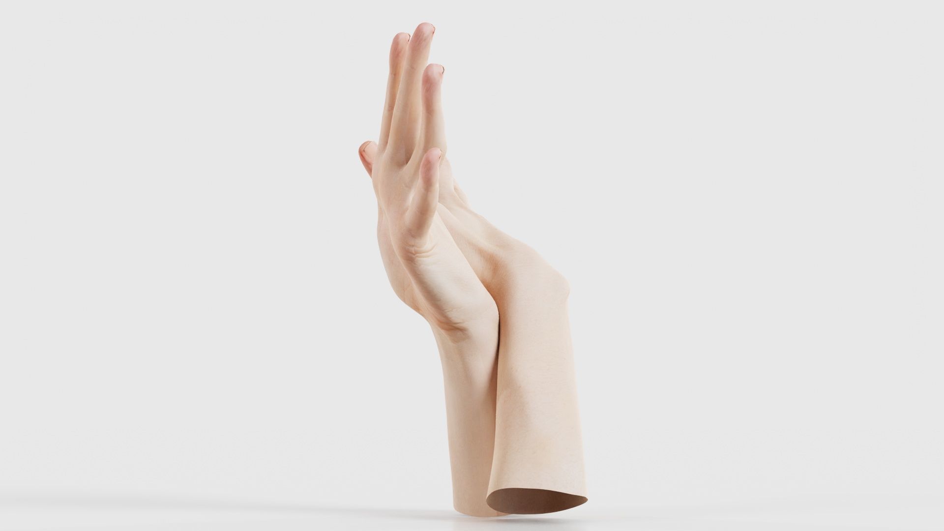Duo Hands 002 Low-poly 3D model_24