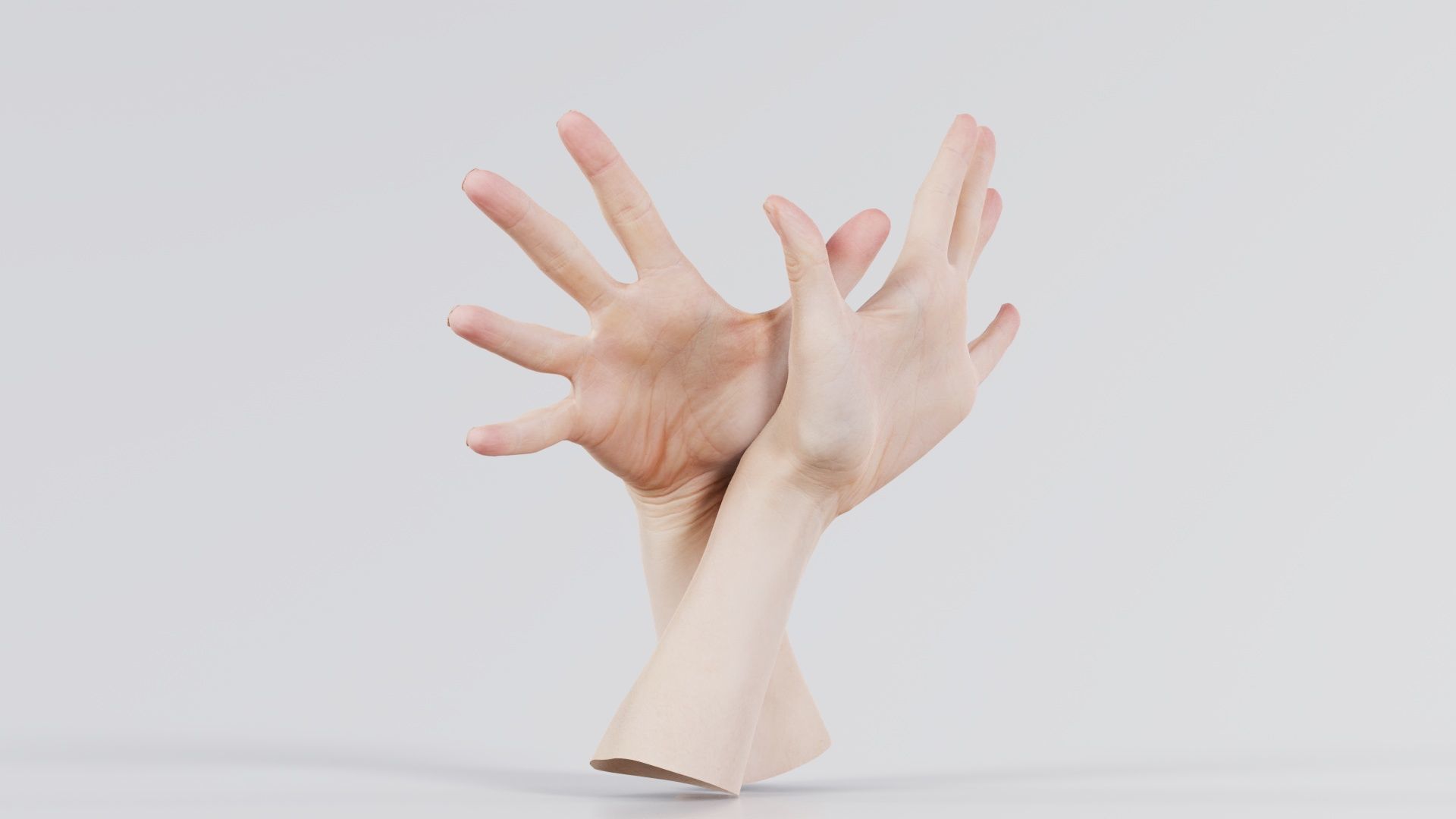 Duo Hands 002 Low-poly 3D model_2