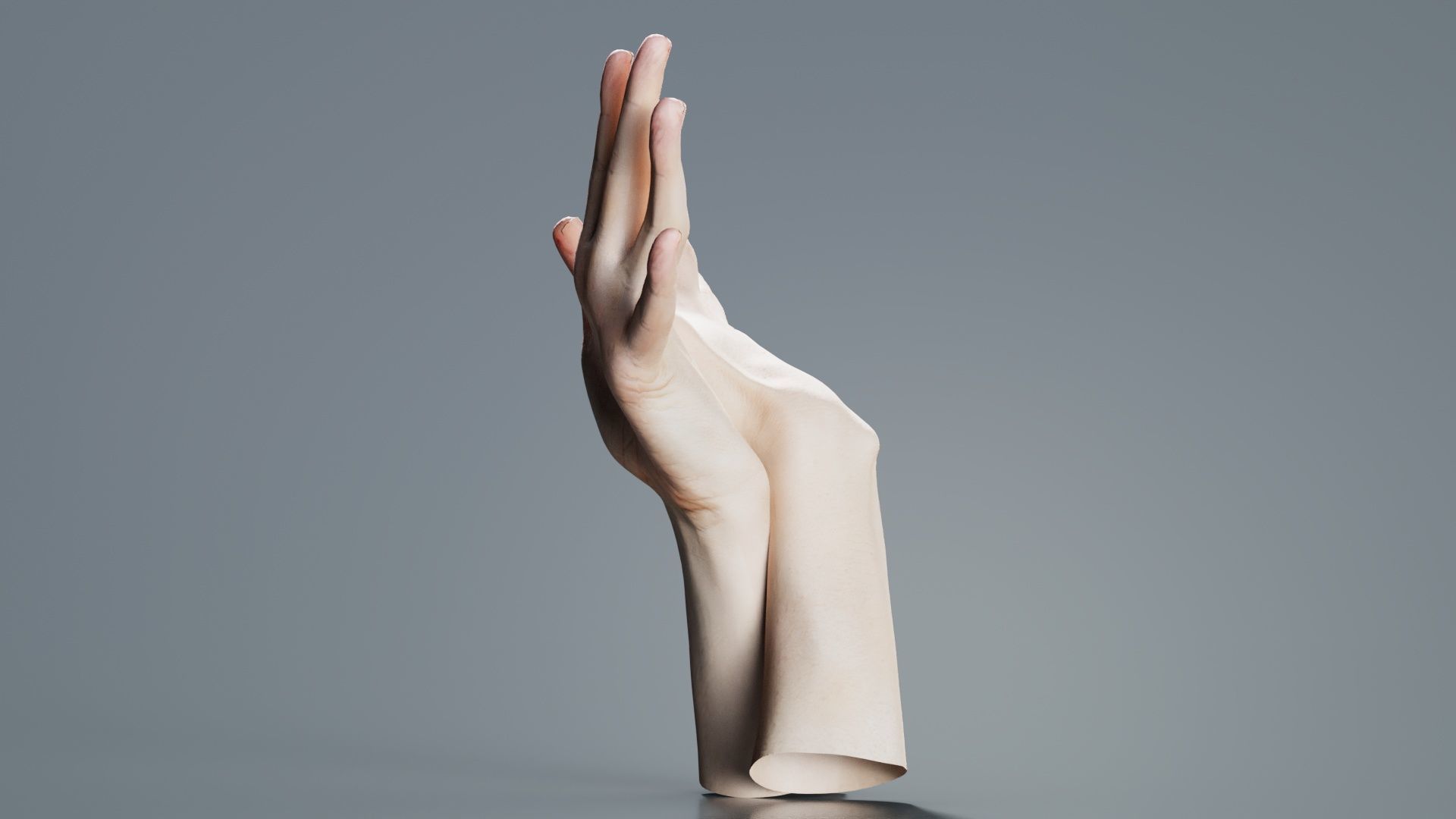 Duo Hands 002 Low-poly 3D model_6