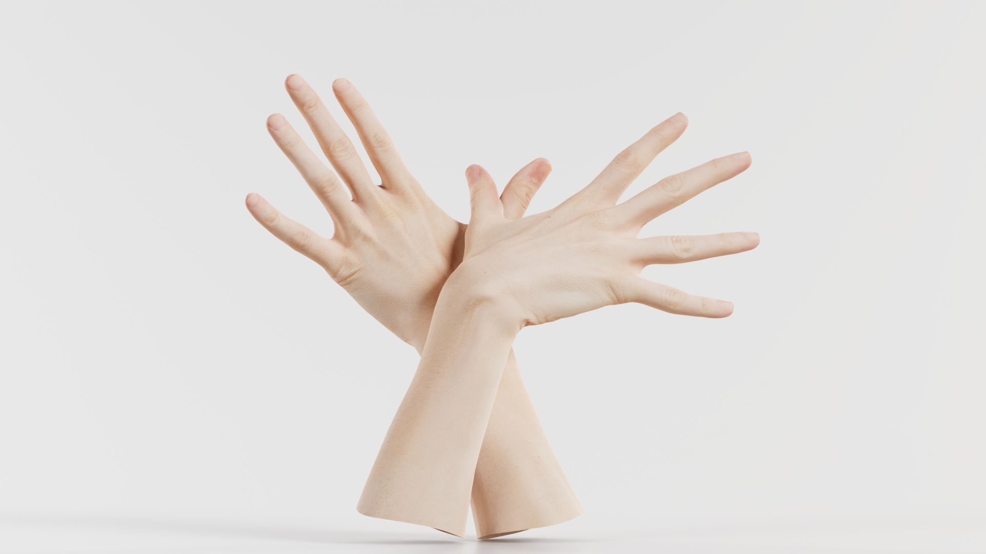 Duo Hands 002 Low-poly 3D model_5