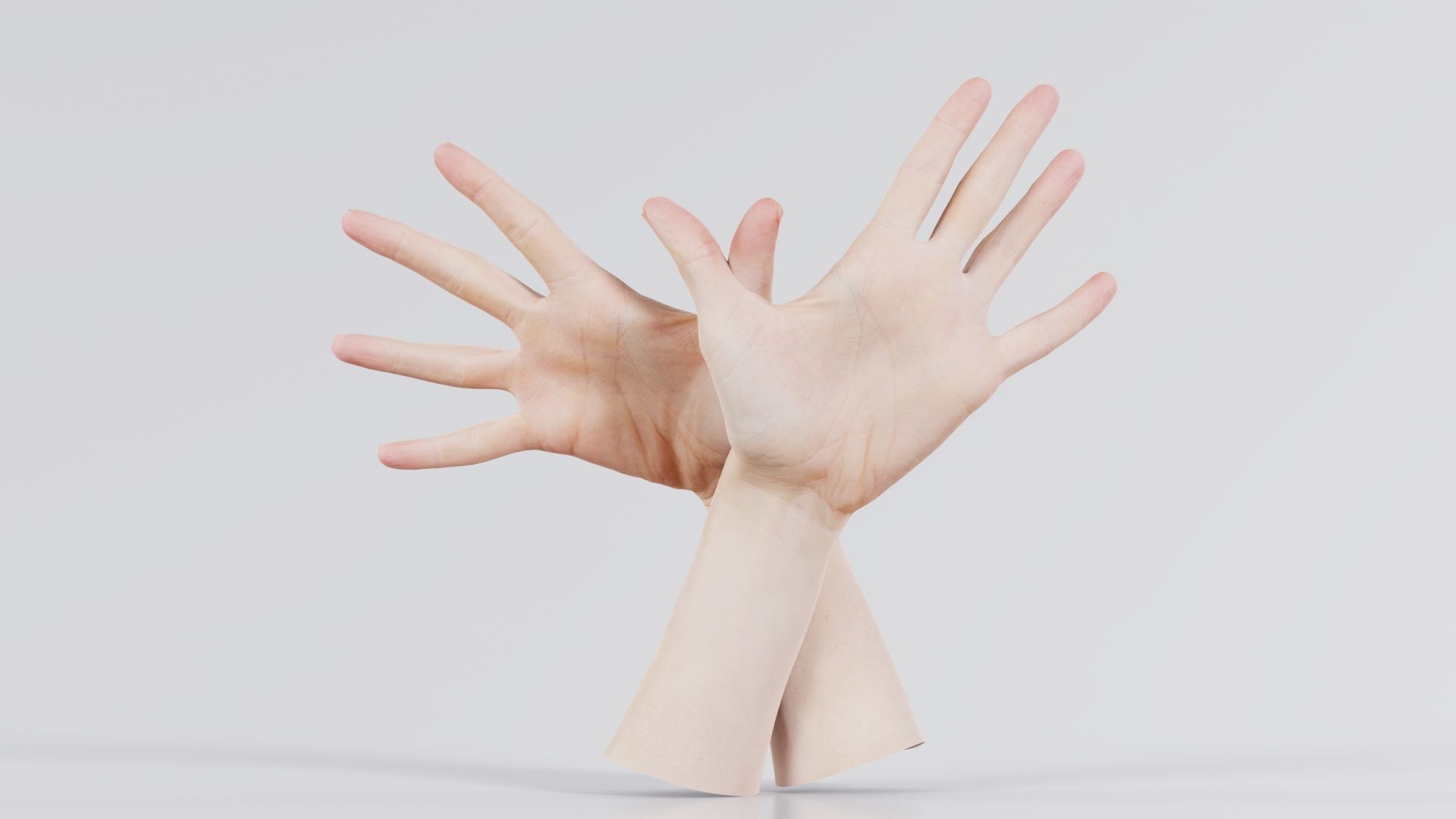 Duo Hands 002 Low-poly 3D model_7