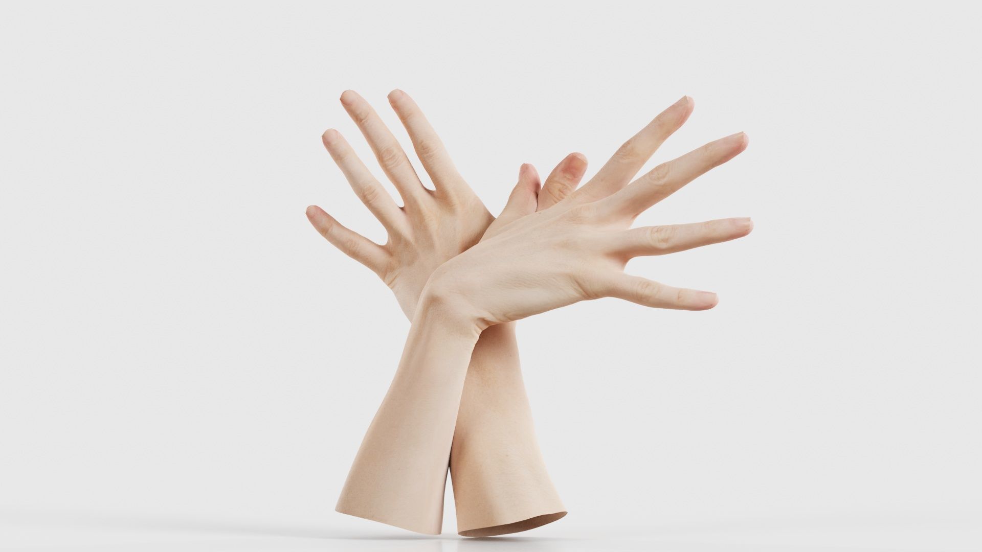 Duo Hands 002 Low-poly 3D model_20