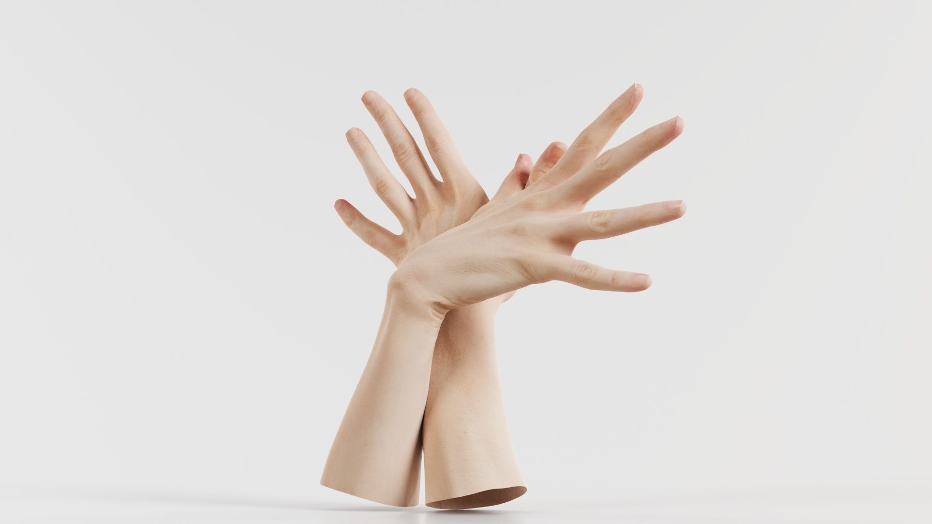 Duo Hands 002 Low-poly 3D model_4