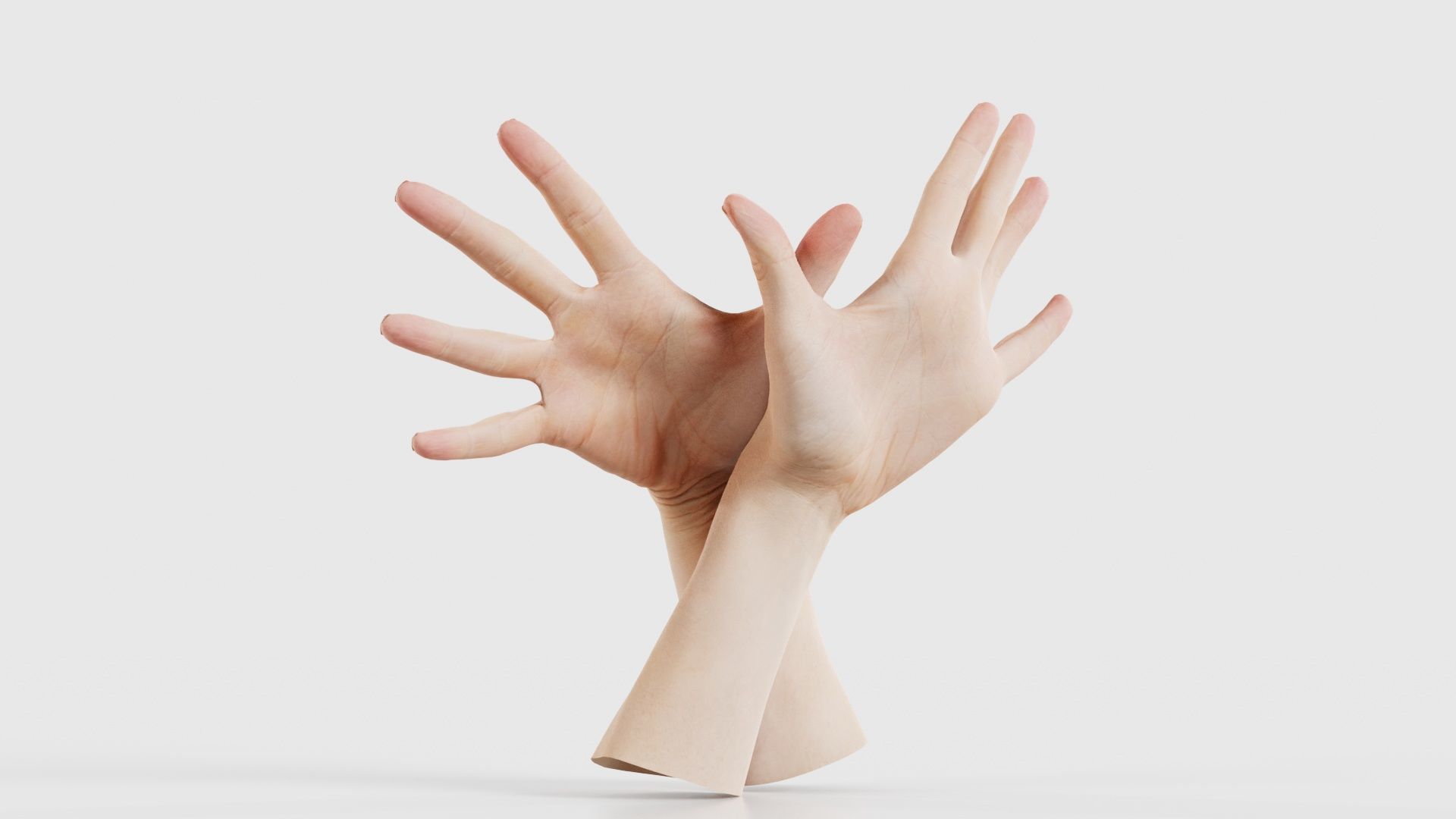 Duo Hands 002 Low-poly 3D model_16