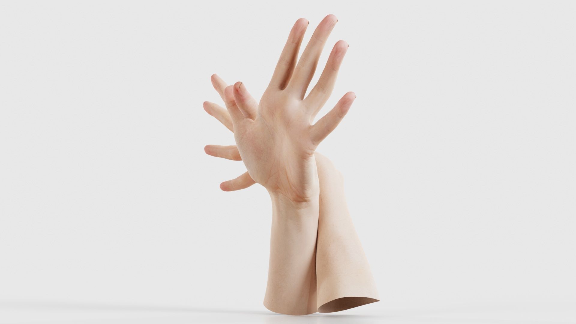 Duo Hands 002 Low-poly 3D model_25