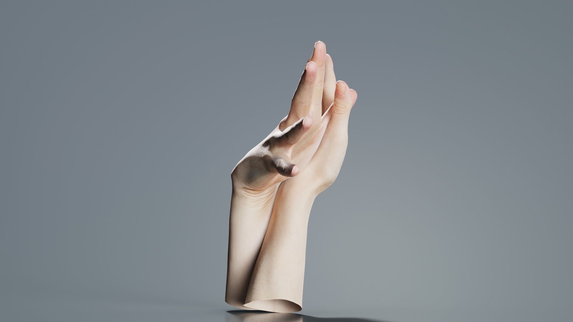 Duo Hands 002 Low-poly 3D model_3